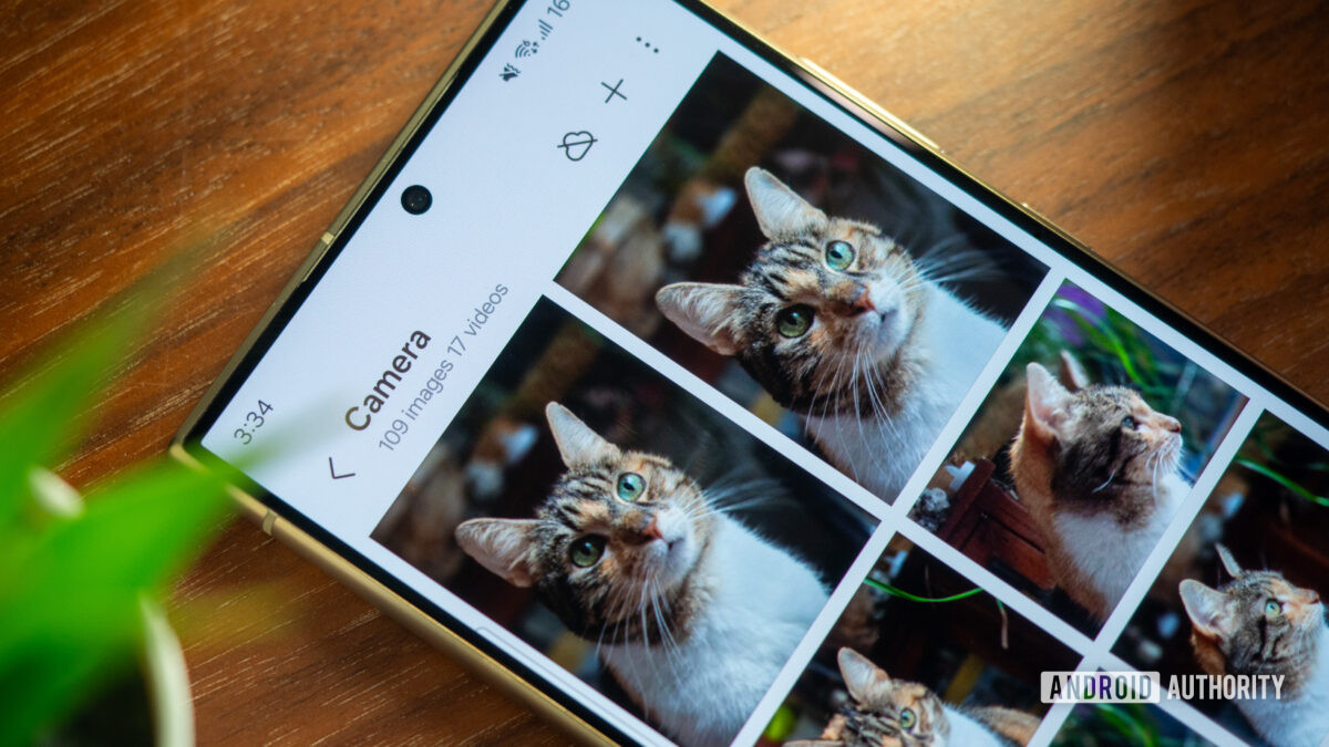 Moving pets and people are still the Galaxy S24 Ultra camera’s kryptonite 😼