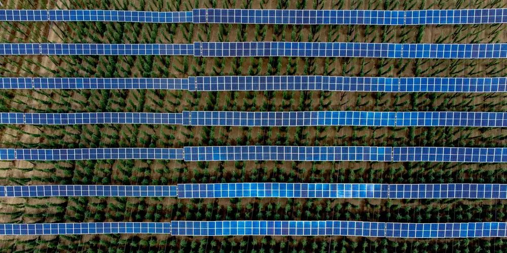 Germany’s Solar Expansion and the Negative Effects of Electricity Overproduction