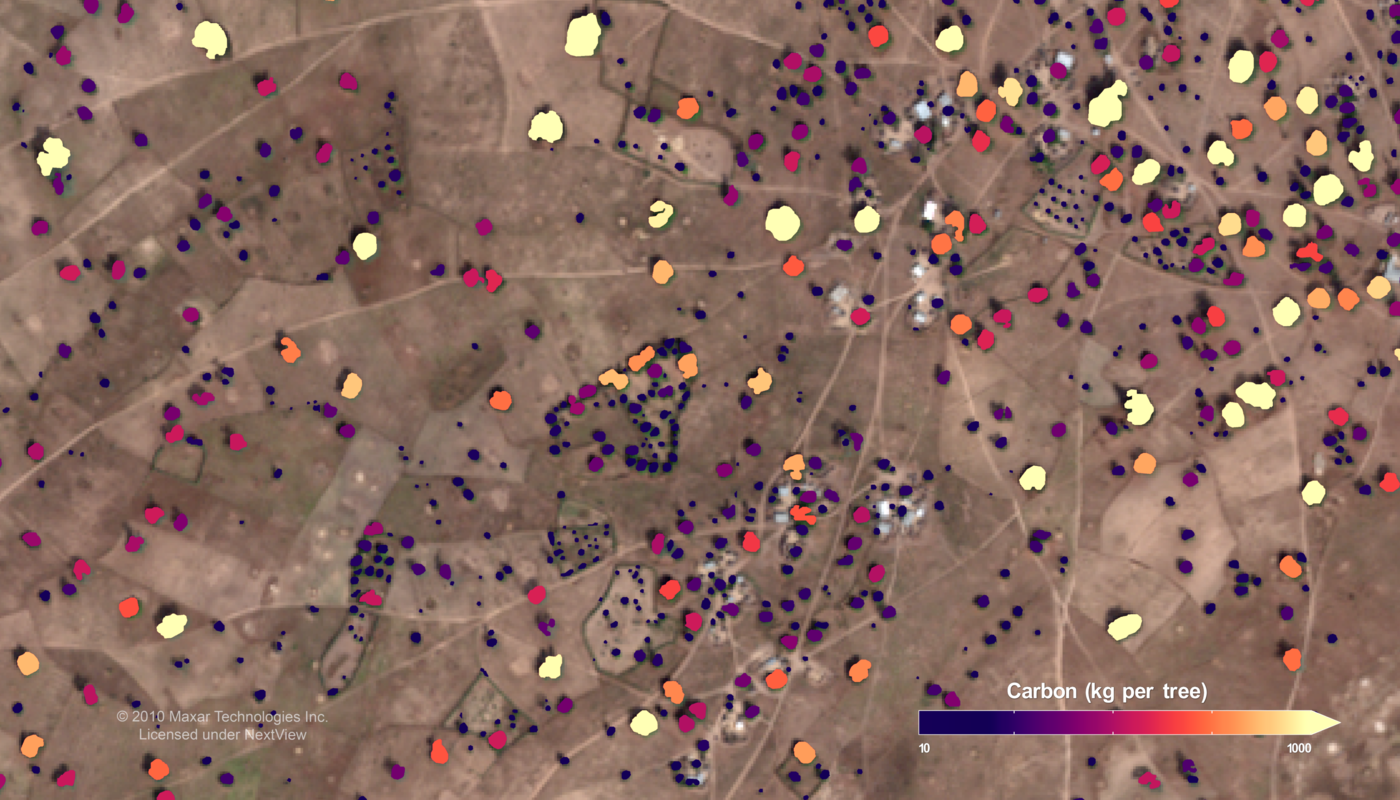 Measuring Trees Via Satellite Actually Takes A Great Deal of Field Work